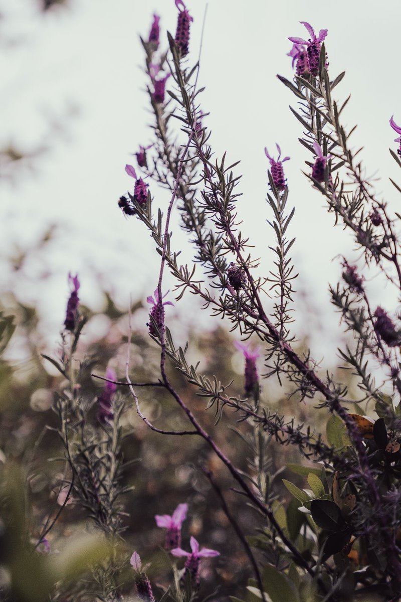 Bestcaption_MPH's tweet photo. vibra con la naturaleza 🖤 https://t.co/VIvv1bZjT0