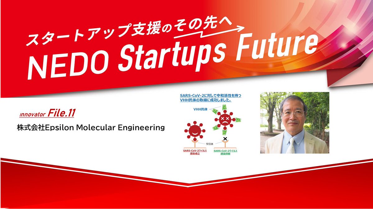 nedo_info's tweet photo. 【ピックアップ】
NEDOの #中小企業・スタートアップ企業 向けポータルサイト「#StarTiPs from NEDO」から『VHH抗体又は環状ペプチドを基盤とする新世代バイオ医薬品シーズ創出共同研究事業・ライセンシング/株式会社Epsilon Molecular Engineering』を紹介します。
https://t.co/bd2ropgc97
#NEDO https://t.co/bdmVLnicPU