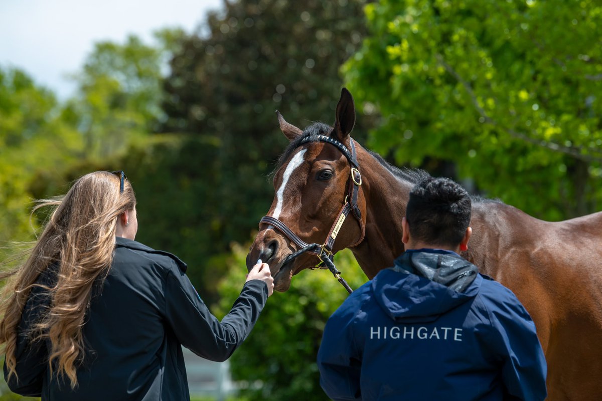 Highgate Sales tweet media