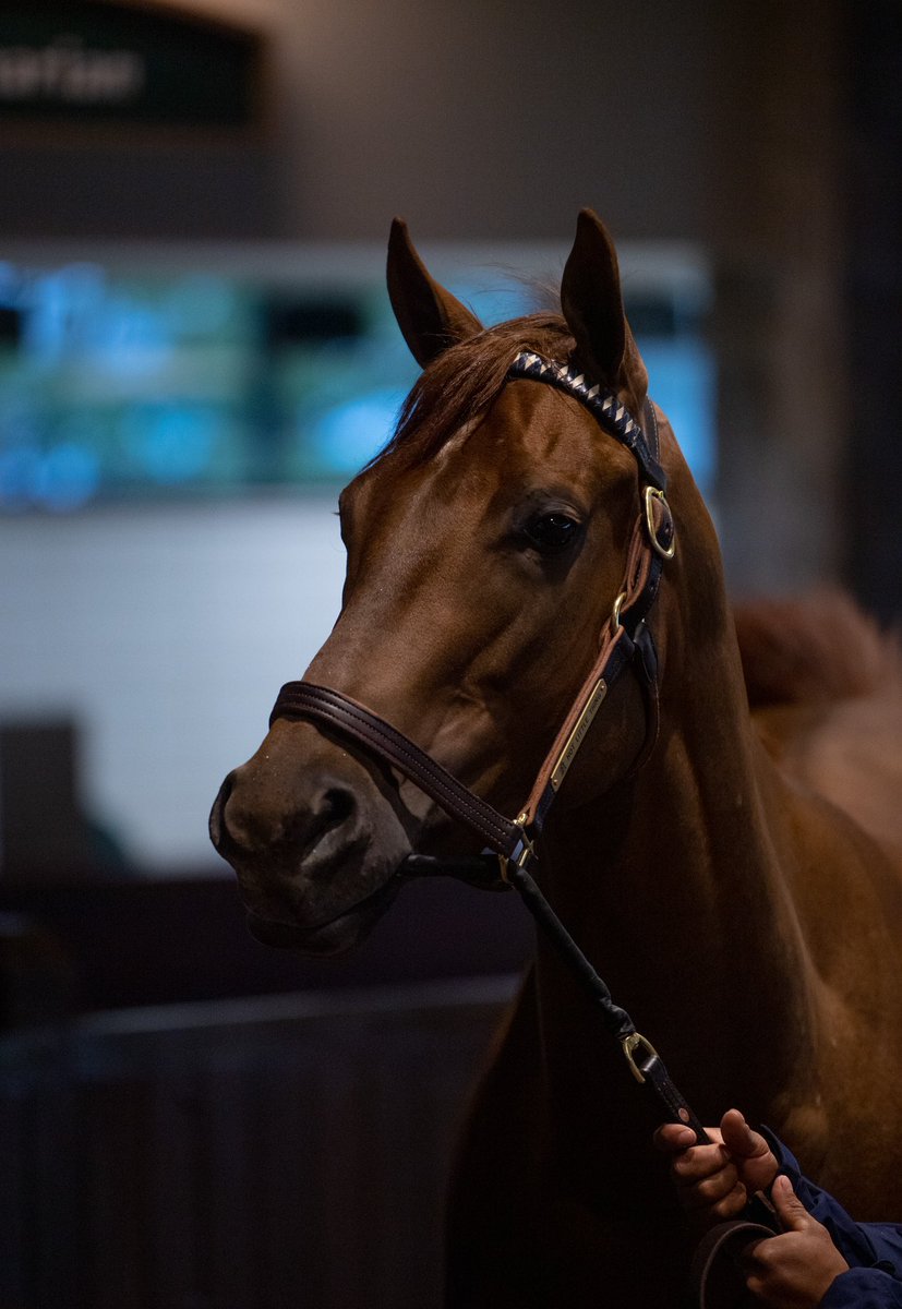 Highgate Sales tweet media