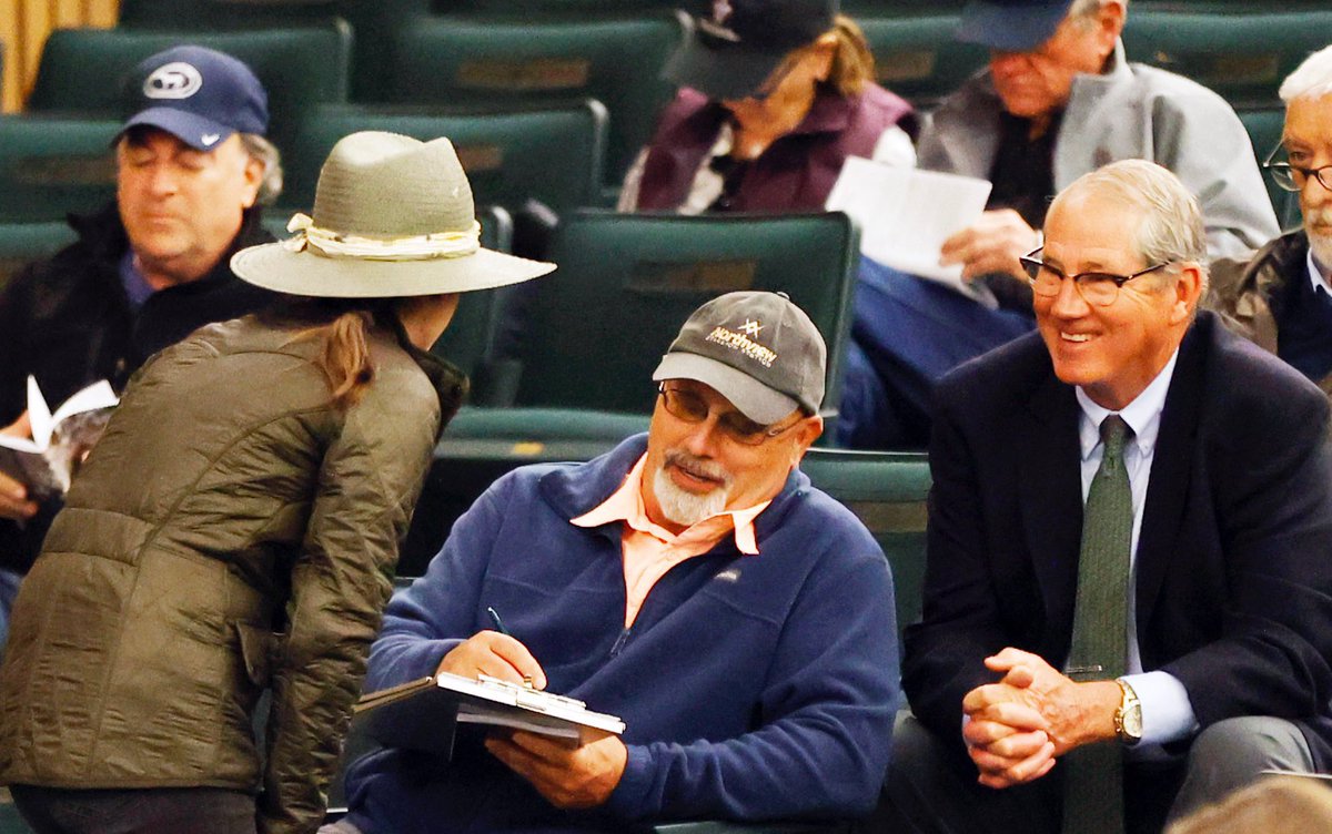 Highgate Sales tweet media