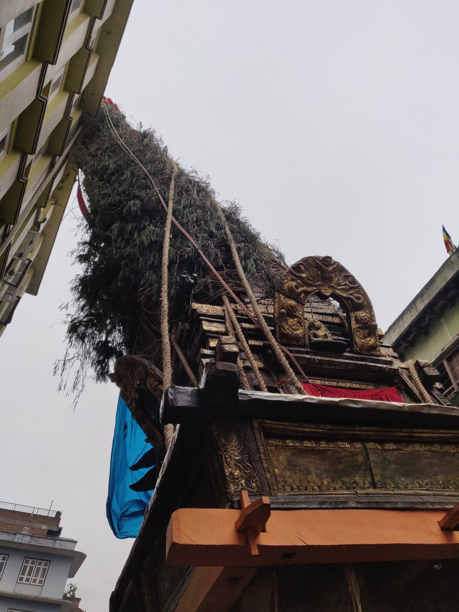 amish973's tweet photo. The red god's chariot didn't seem to get a quality control check this time it seems. As crooked as a Nepali politician!
#bungadyah https://t.co/E7rl40HyYt
