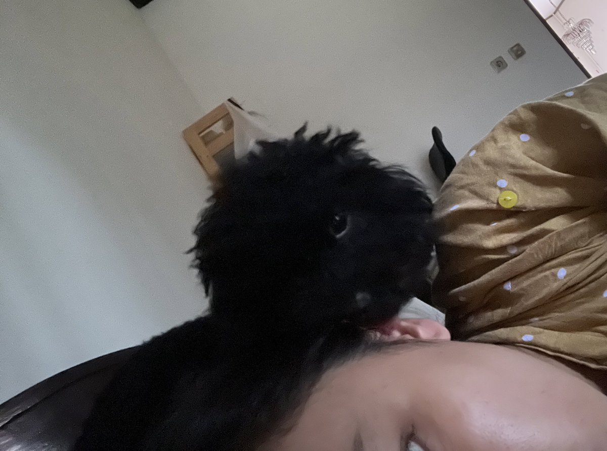 rutdeb's tweet photo. Udah bisa naik kasur sendiri🥲 https://t.co/I3T41vH3Ar