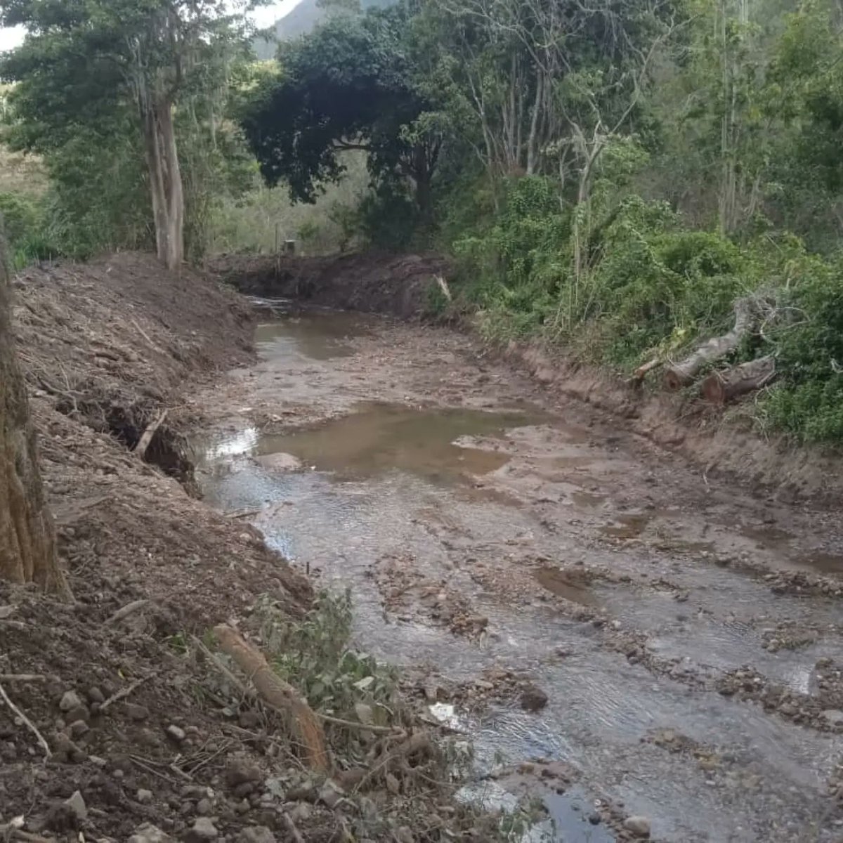 Siguiendo orientaciones del gobernador <a href="/ErnestoLunaPsuv/">Ernesto Luna G.</a>, realizan canalización del río El Guácharo en el sector La Cuchilla, en Caripe, para proteger las siembras en el período de lluvia. 

#Monagas #Maturin
#TrabajadoresConMaduro
 <a href="/DalilaRosilloM/">Dalila Rosillo</a>