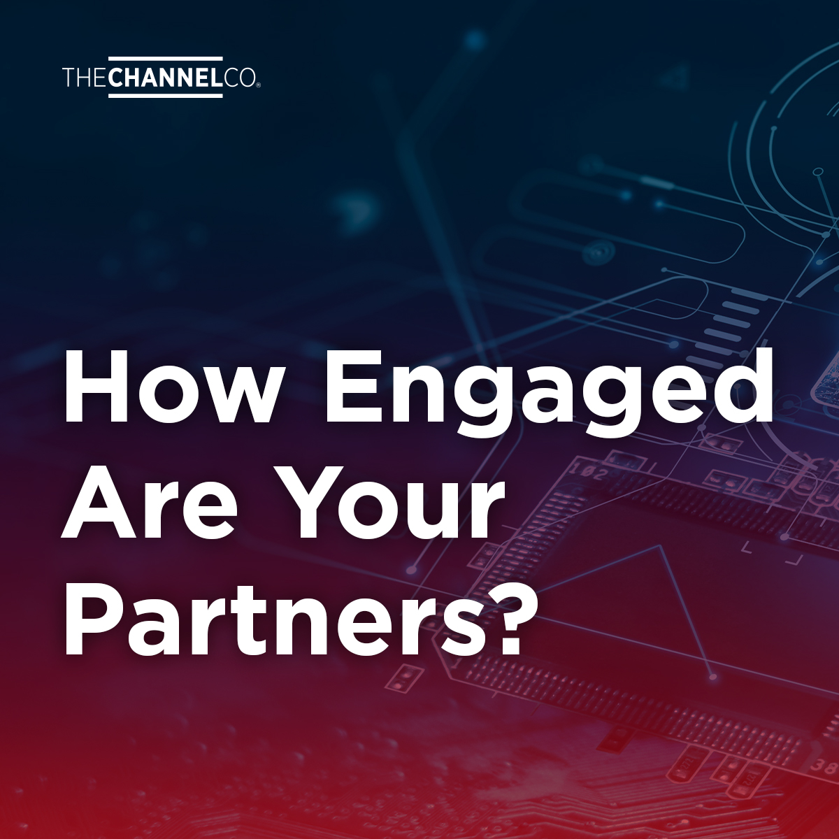 bChannels's tweet image. Did you know that 80% of all channel-sourced revenue comes from just 20% of partners? 

Discover how the experts at @TheChannelCo Agency can help you engage with your partners to ensure efficient MDF utilisation.

Get started: hubs.la/Q01MT1dw0
