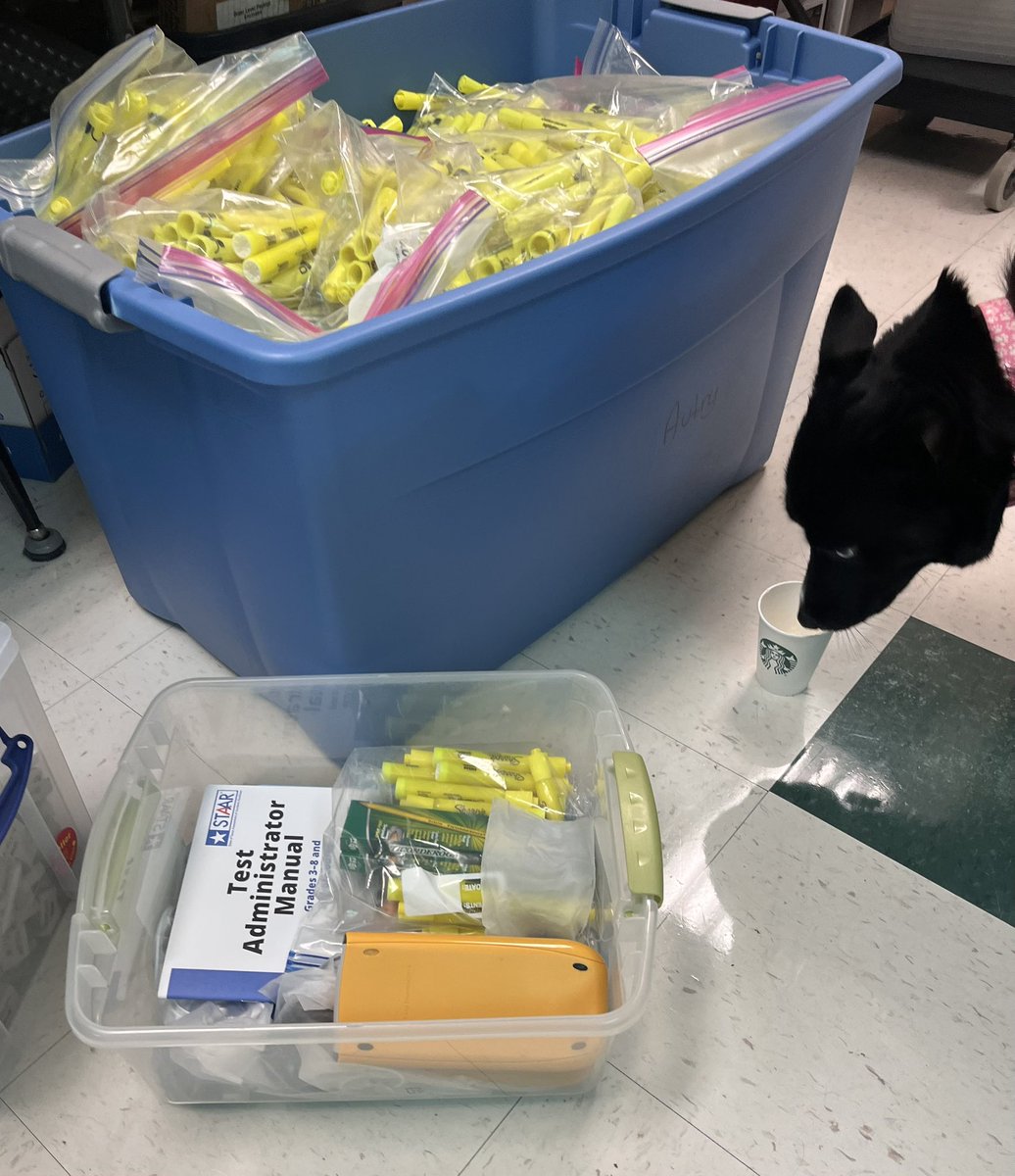 jemclemore's tweet photo. Prepping 850 students’ STAAR testing on campus. Gotta supply my best assistant w/Starbucks! 🐩 ☕️❤️
She also signed an Oath of Test Security &amp; Confidentiality before even breathing the same air as the STAAR materials. 😬🙄😬
We run a tight ship at FJH! https://t.co/uSIZBKmQ8D