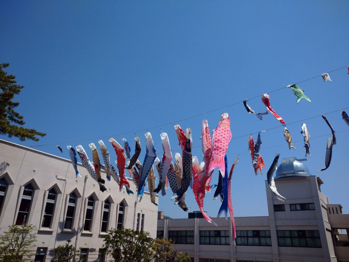 Shion_nada's tweet photo. いよいよ明日から文化祭！
校内各所で最後のリハーサルが行われています。皆様のご来場を心よりお待ちしております。卒業生にも会いたい！
#灘校鯉のぼり
#ND72 https://t.co/uklPXcXELq