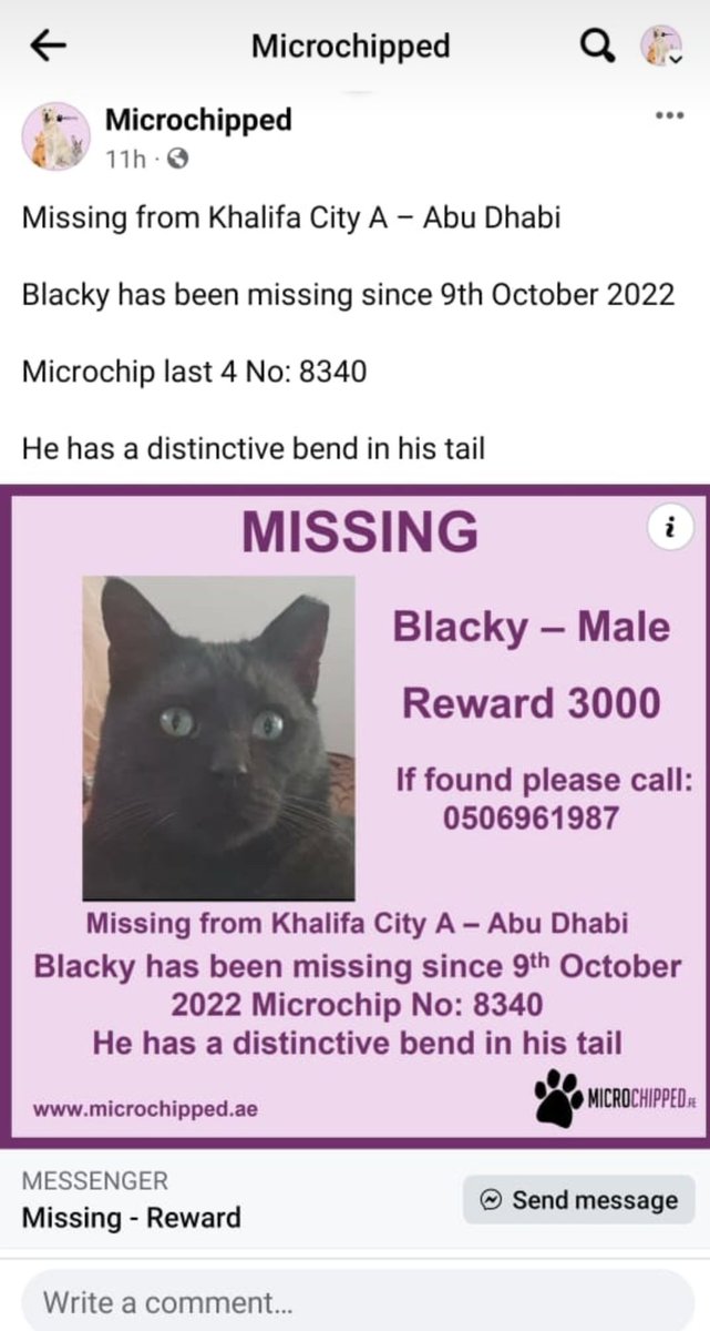 29 weekends since <a href="/eagle_enviro/">Eagle_Enviro</a> displaced, our senior boy Blacky 😔 We won't give up on you boy. We're trying.

Where are my boys?

<a href="/maanabudhabi/">هيئة المساهمات المجتمعية - معاً</a>
<a href="/AbuDhabiDMT/">دائرة البلديات والنقل</a>
<a href="/A_W_Global/">AnimalWarriorsGlobal</a> <a href="/philip_ciwf/">Philip Lymbery</a> <a href="/Forsan_UAE/">فرسان الإمارات</a> <a href="/HHShkDrSultan/">HH Sheikh Dr. Sultan</a> <a href="/HHShkMohd/">HH Sheikh Mohammed</a> @HHMansoor <a href="/AbuDhabi_ADM/">بلدية مدينة أبوظبي</a> <a href="/Shamma_AlNahyan/">Sheikha Shamma Al Nahyan</a>
#Cats #UAE