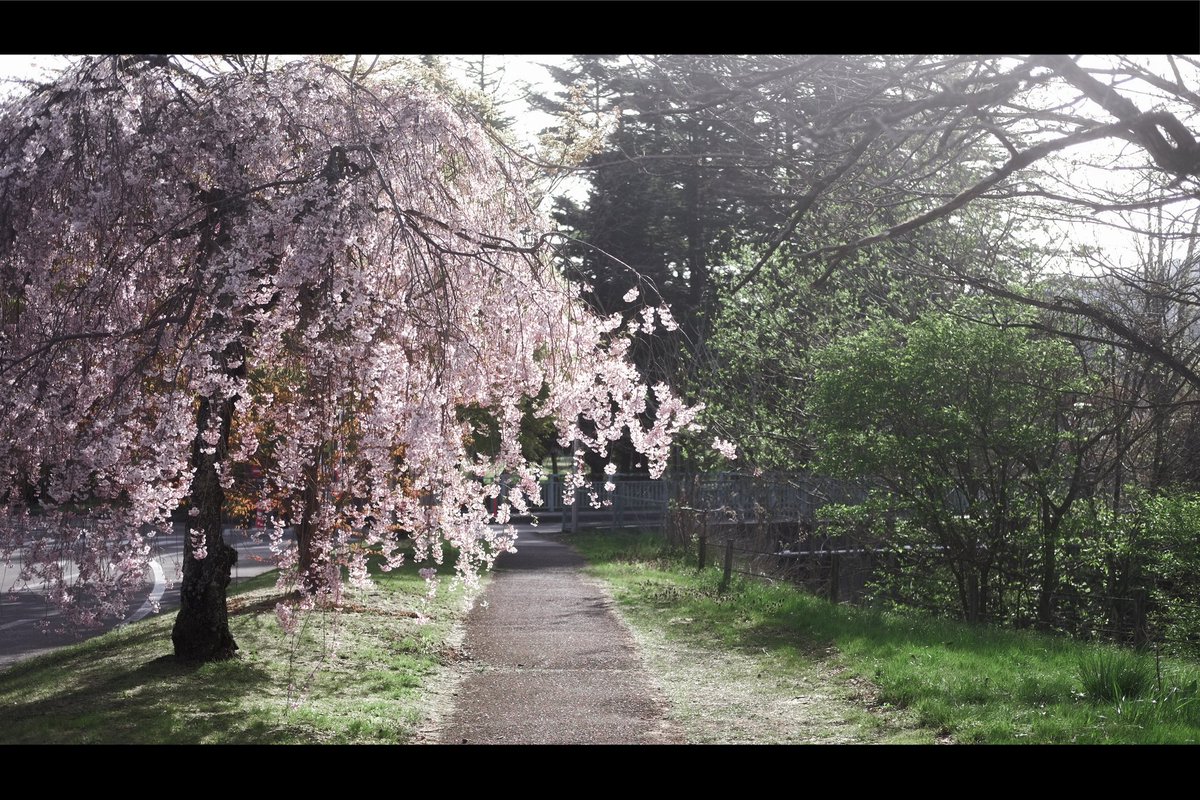 軽井沢はまだ見頃だった