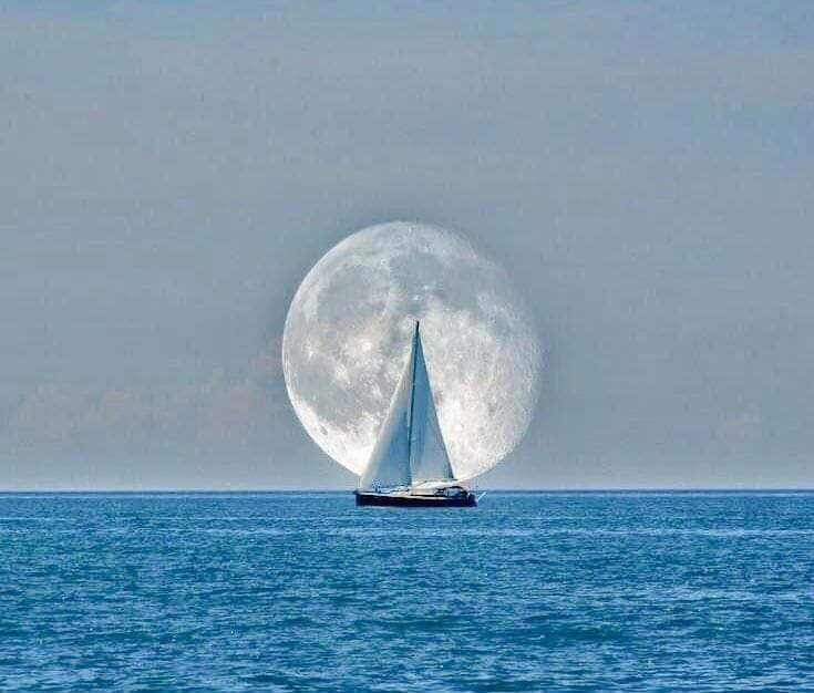 ( وَفِي السَّمَاءِ رِزْقُكُمْ وَمَا تُوعَدُونَ )

حقيقة قرآنية تخبرنا أن العطايا
 لا تبدأ من الأرض ..
 فلا تـتطلعوا  لغير السماء .