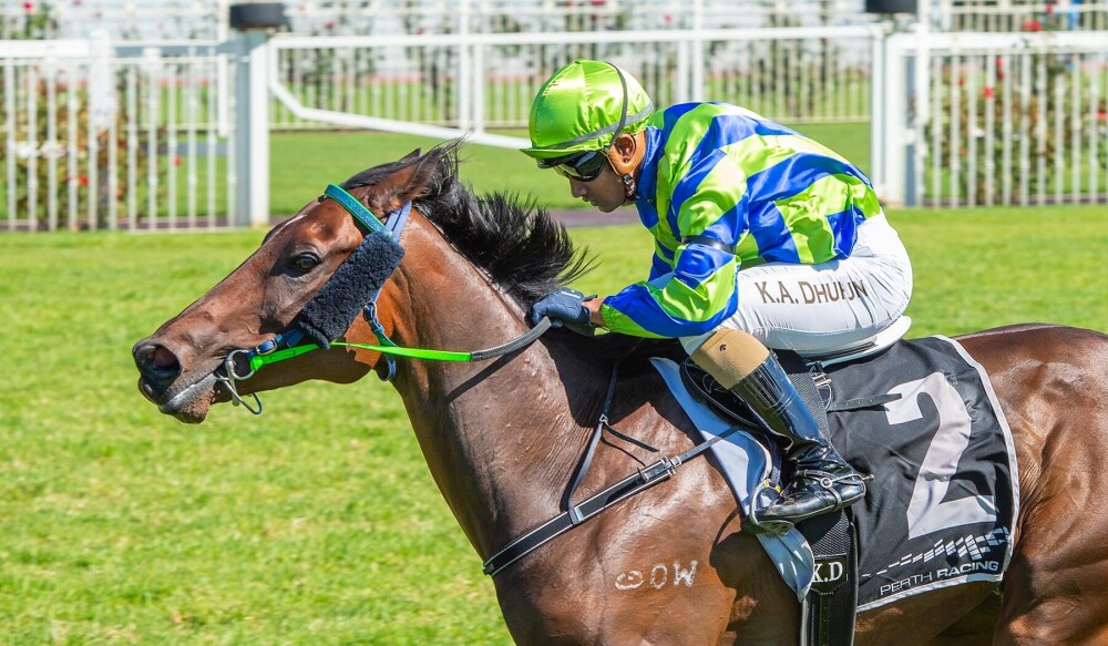 TABtouch tweet media