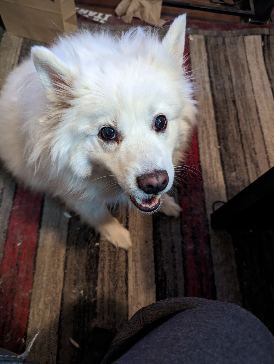 Chad Brendel on Twitter "And now it's a night at the emergency vet