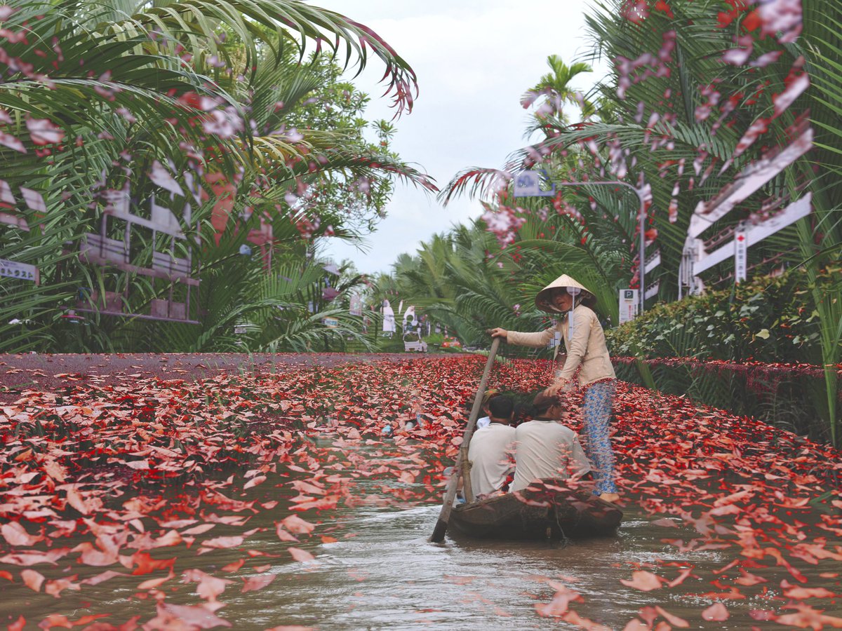 𝗝𝗜𝗚𝗚𝗢 𝗣𝗛𝗢𝗧𝗢𝗚𝗥𝗔𝗣𝗛𝗬 ᴺᶠᵀ tweet media