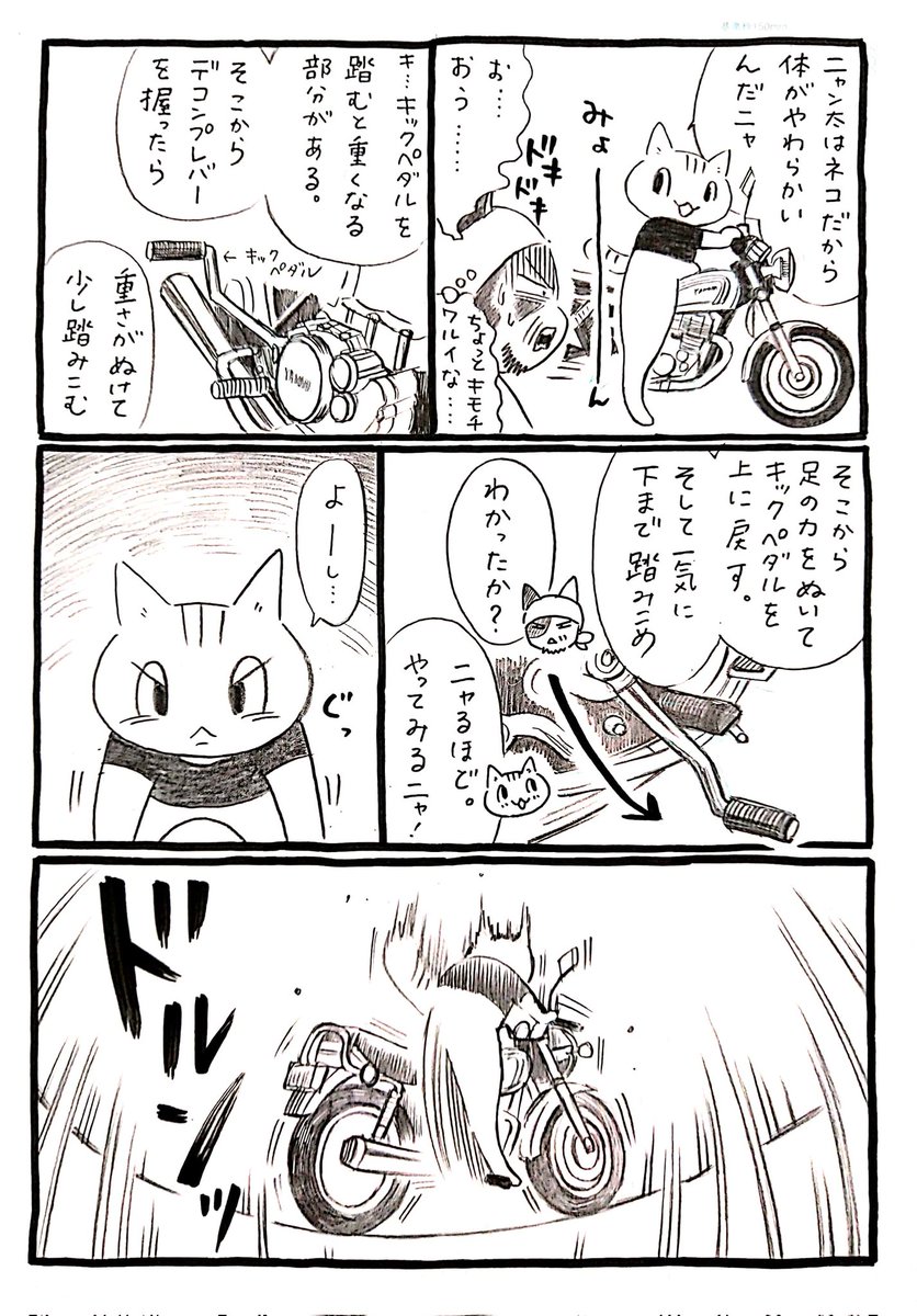 ネコがバイクに出会う漫画「ネコ☆ライダー」第7話🏍️🐈️ #ネコライダー