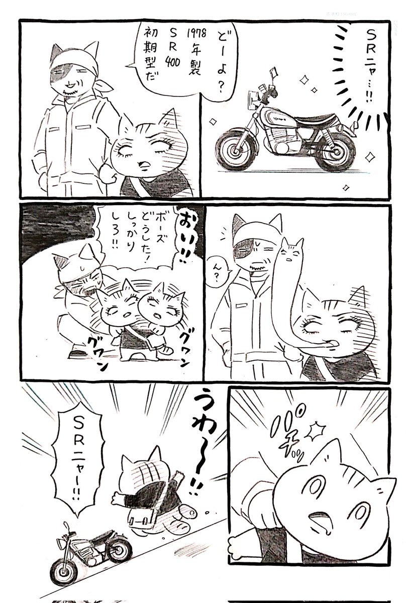 ネコがバイクに出会う漫画「ネコ☆ライダー」第7話🏍️🐈️ #ネコライダー