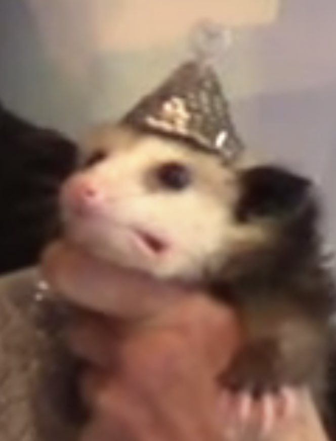JoanOfSnarque's tweet photo. mood af https://t.co/oIBQOeK0nz