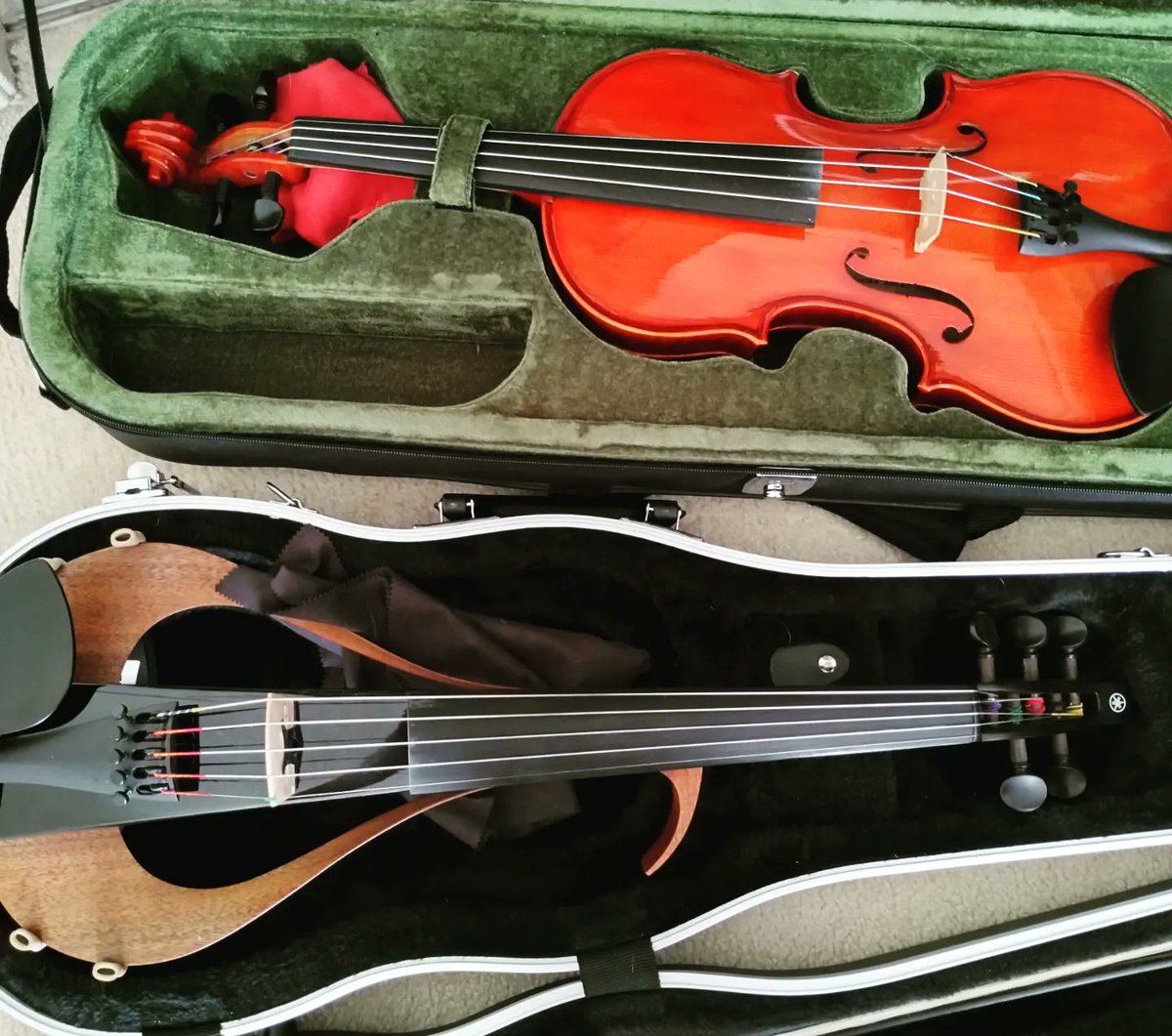 ViolinBird77 tweet media