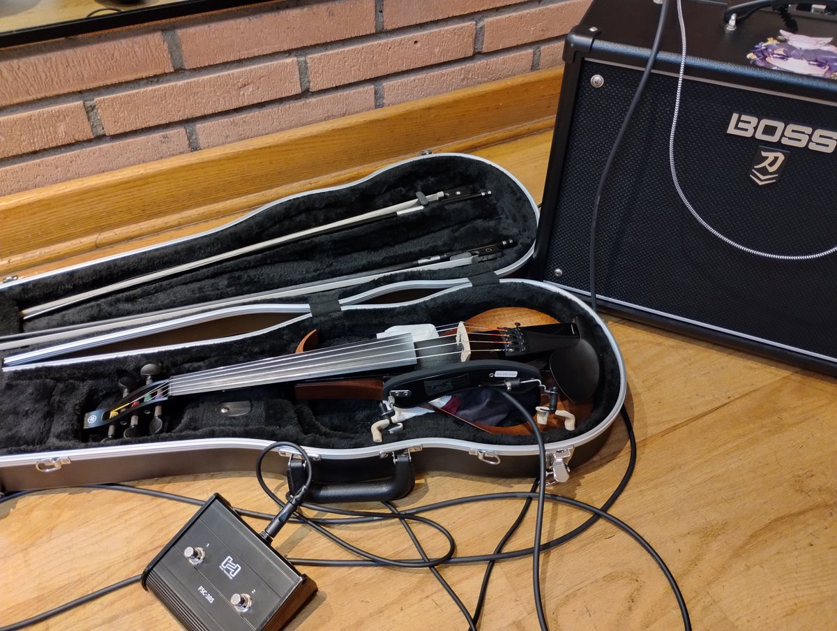 ViolinBird77 tweet media