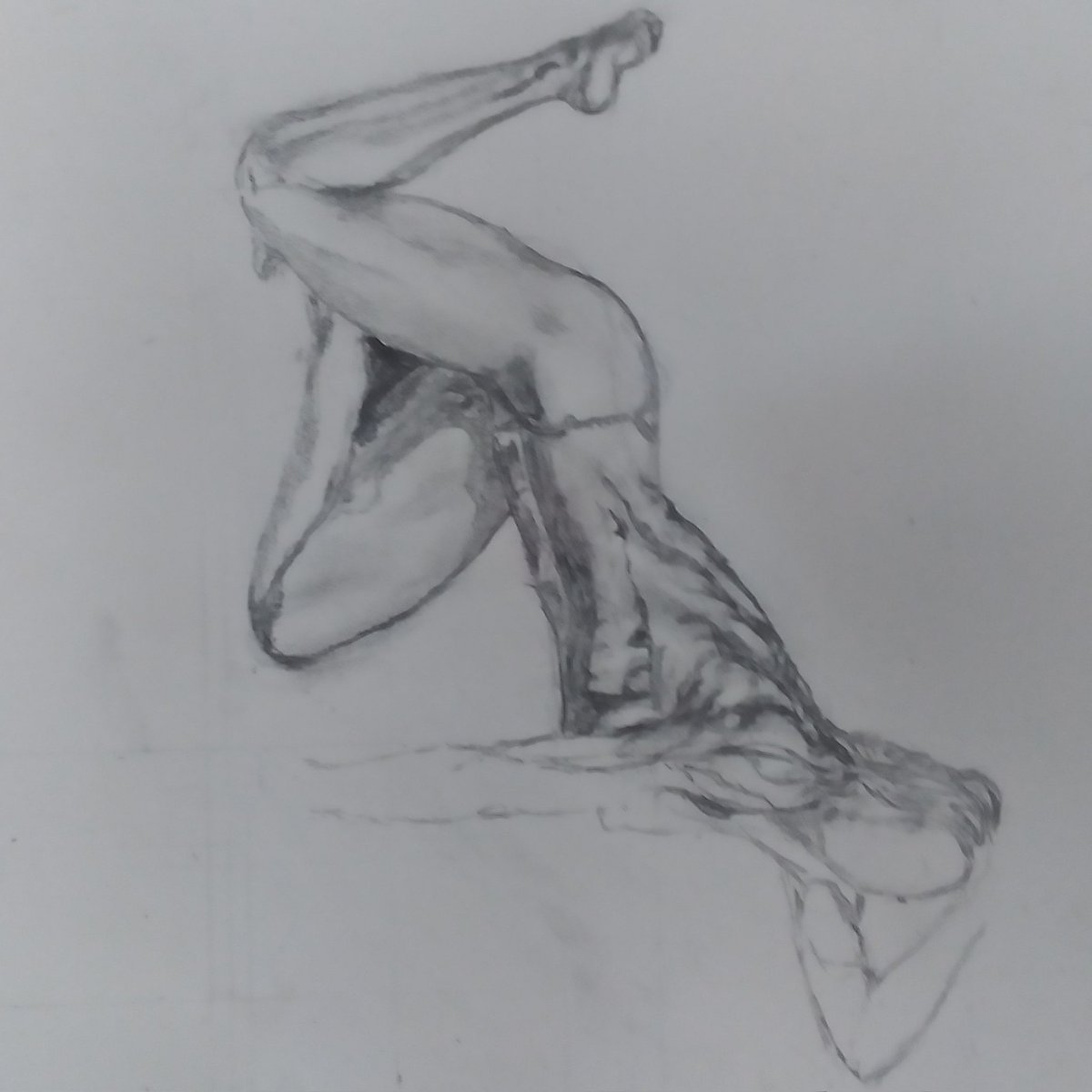 Randal Orser (@orserrandal) on Twitter photo 