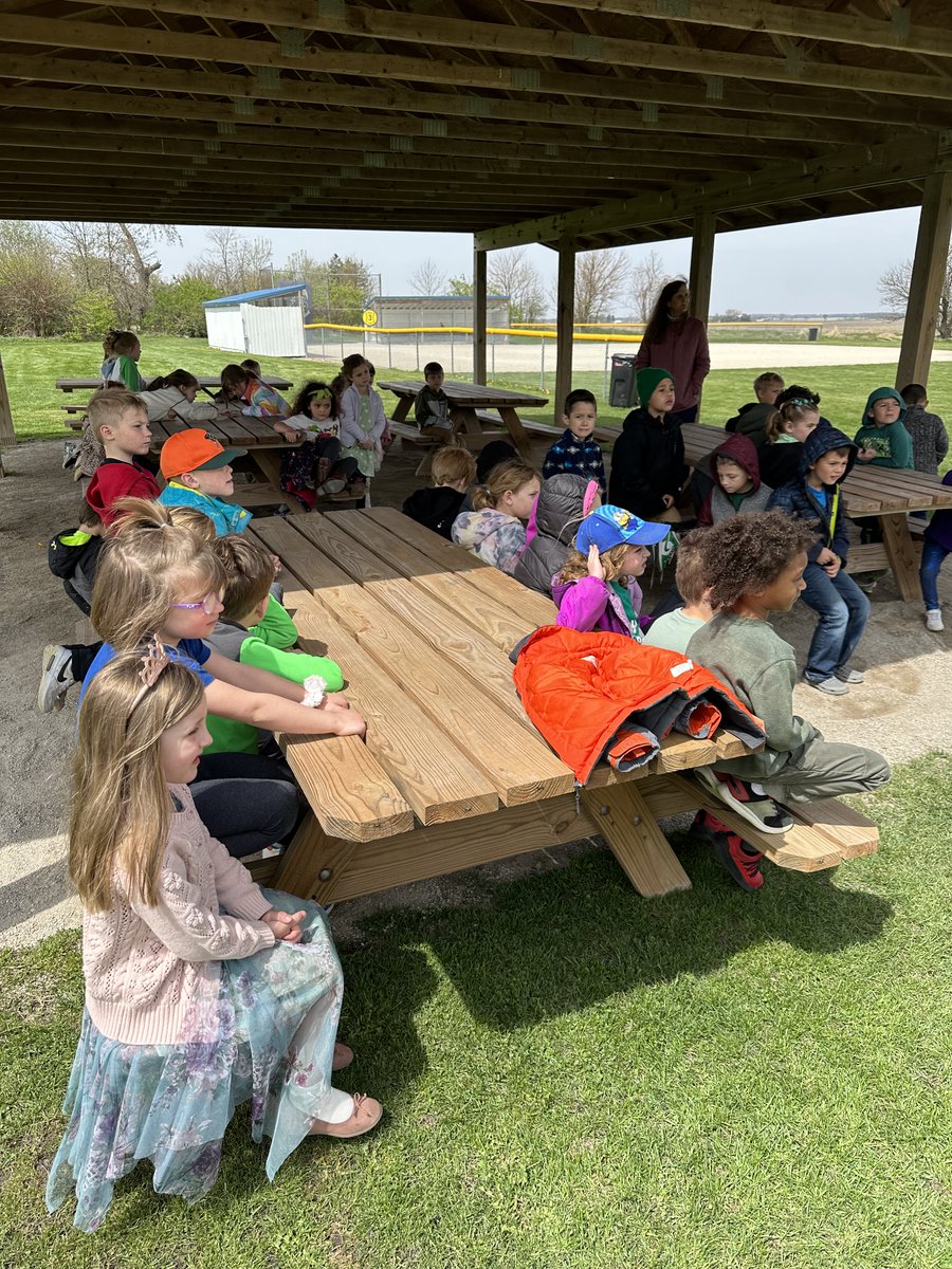 Lily Lake Lions tweet media