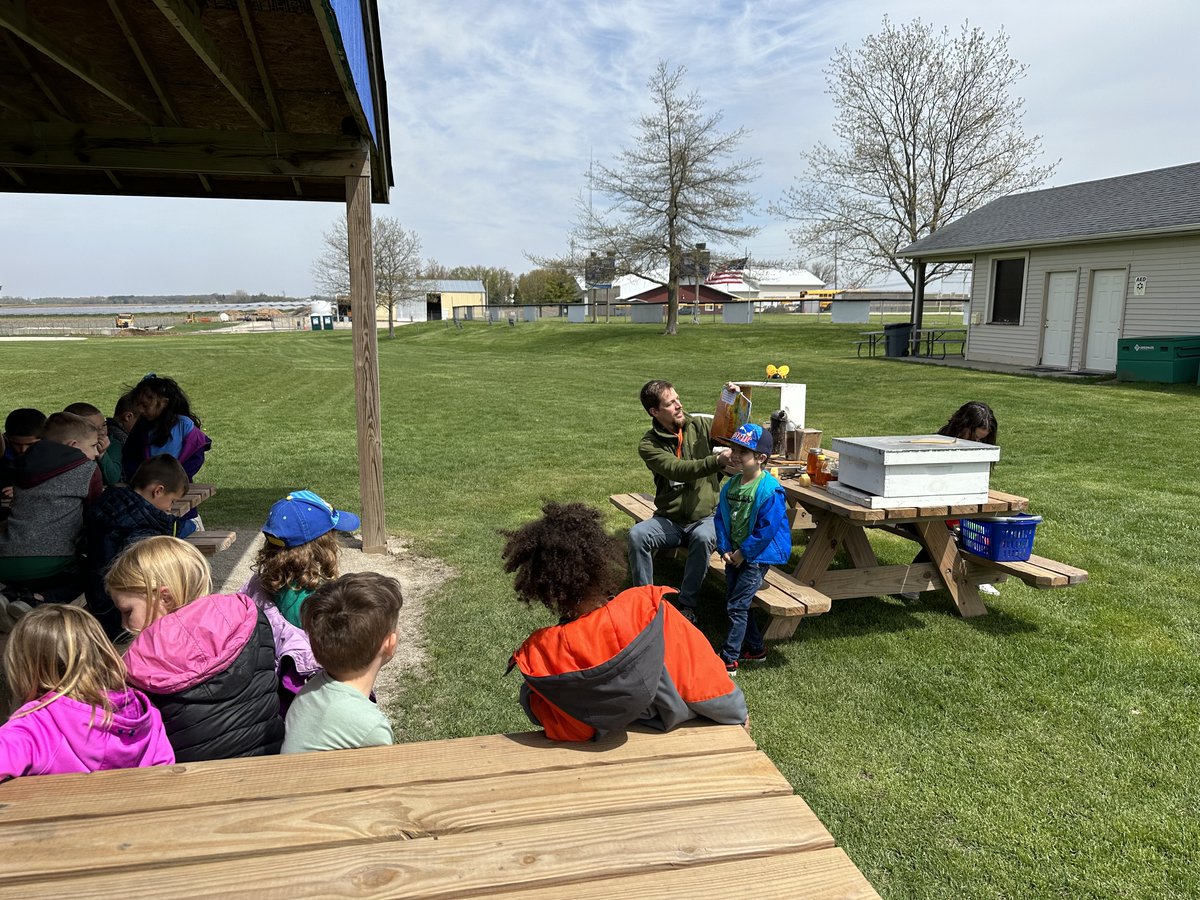 Lily Lake Lions tweet media