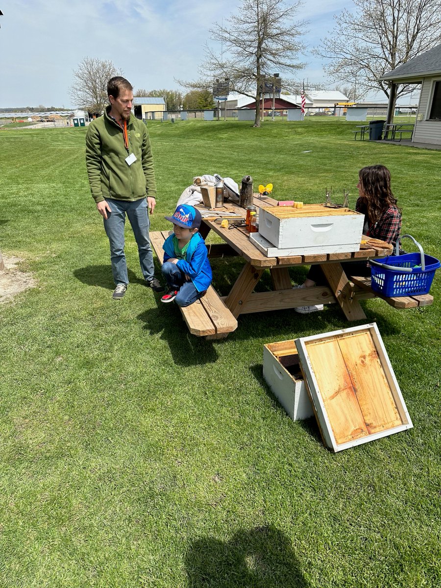 Lily Lake Lions tweet media