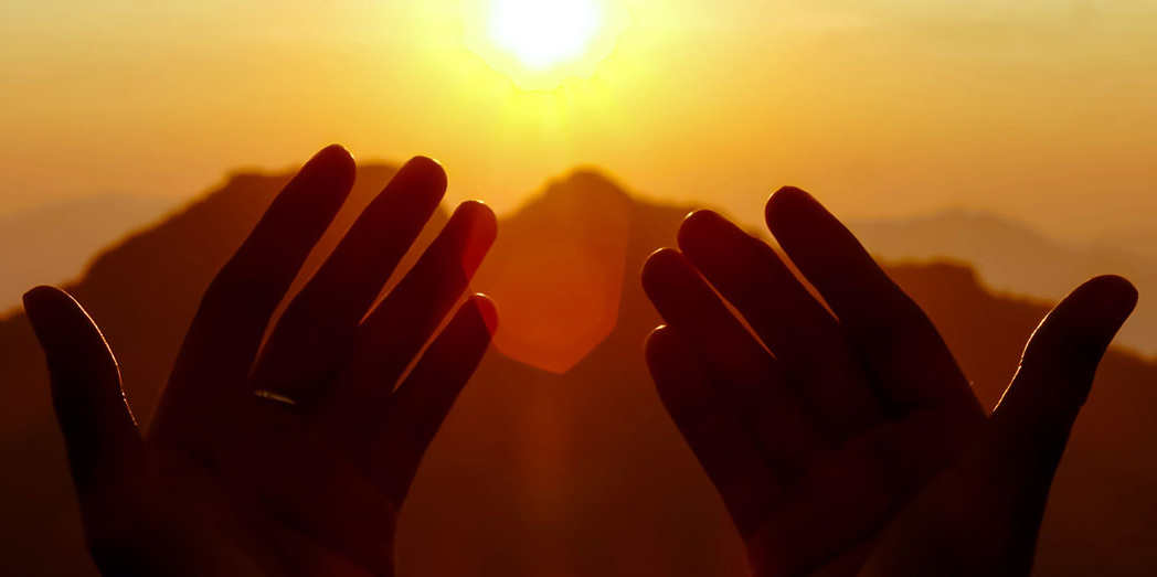 The New Vision tweet media