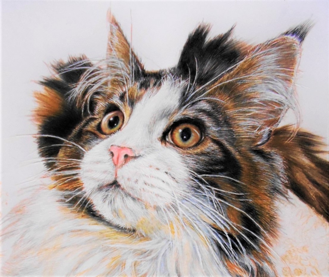 loft10104363's tweet photo. 可愛い猫①
Amazing art! What do you think ?
Share your opinion in the comments
#色鉛筆アート #色鉛筆画 #catart #catdrawing #animalart #animalcreatives #animalartist #animaldrawing #animalportrait #coloredpencil #coloredpencildrawing #coloredpencilart #coloredpencilportrait https://t.co/FJBzQtjLgl