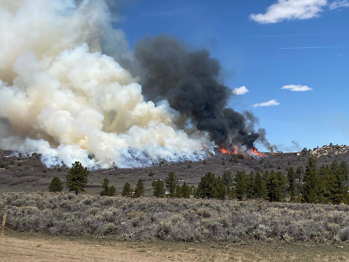 UtahWildfire's tweet photo. #usfsFNF and #FFSL burned approximately 150 acres on the #OldWomanSouthRx today (4/30/23). This landscape-level ecosystem renewal project is designed to provide community wildfire protection, improve quality wildlife habitat, and help watershed conditions. #FuelsProjects https://t.co/sDeb02BZlx