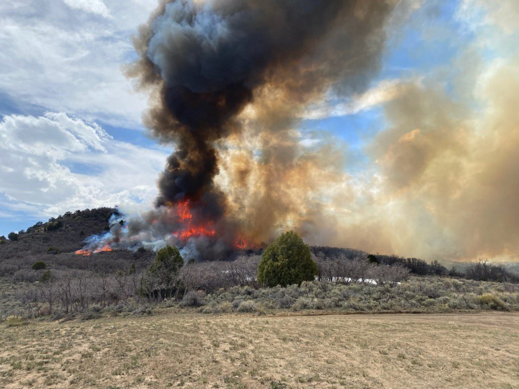 UtahWildfire's tweet photo. #usfsFNF and #FFSL burned approximately 150 acres on the #OldWomanSouthRx today (4/30/23). This landscape-level ecosystem renewal project is designed to provide community wildfire protection, improve quality wildlife habitat, and help watershed conditions. #FuelsProjects https://t.co/sDeb02BZlx