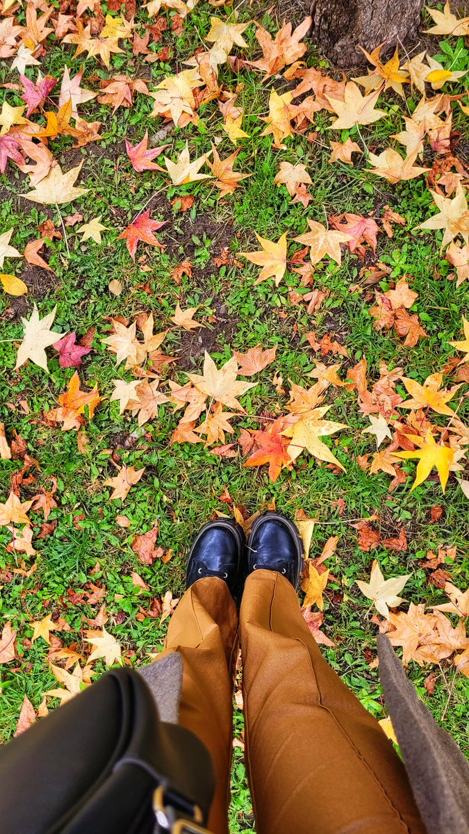 O t o ñ o  l i n d o🍂🍂🍂