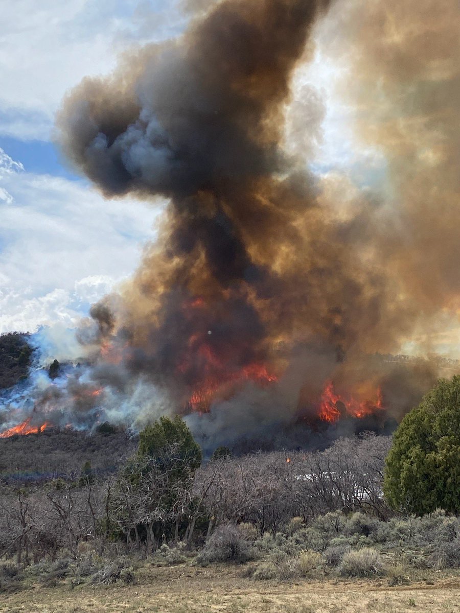 rifcdispatch's tweet photo. #usfsFNF and #FFSL burned approximately 150 acres on the #OldWomanSouthRx today (4/30/23). This landscape-level ecosystem renewal project is designed to provide community wildfire protection, improve quality wildlife habitat, and help watershed conditions. #FuelsProjects https://t.co/rFErVZGTjp