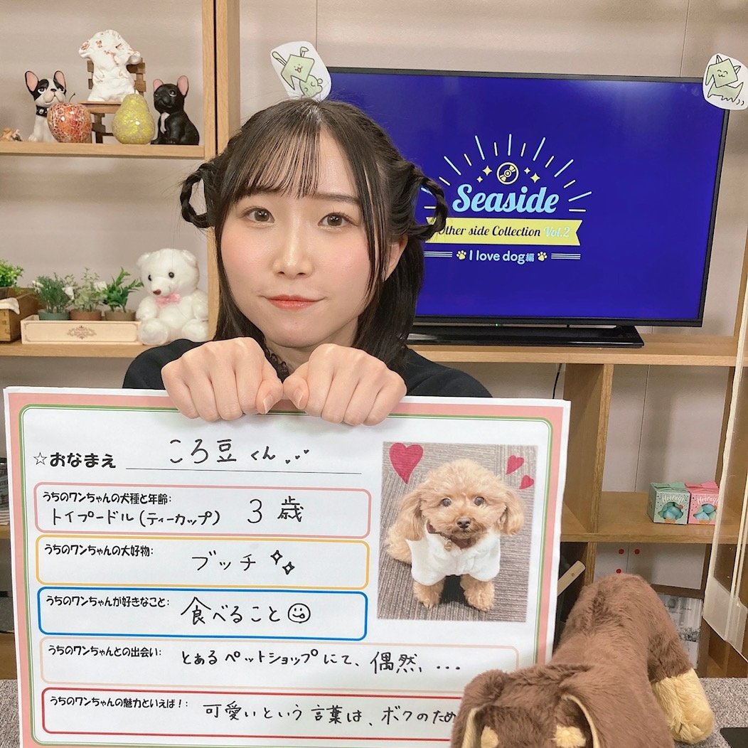 シーサイド・コミュニケーションズ on X: 