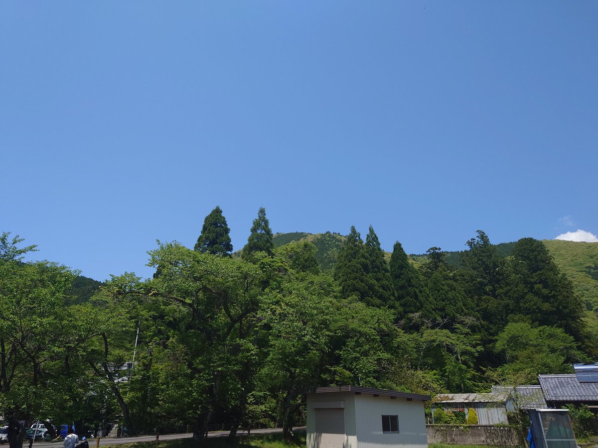 hiossanG's tweet photo. 久々のお山
久々のおバイク
気持ちええぇ〜 https://t.co/Br47fXy6ic