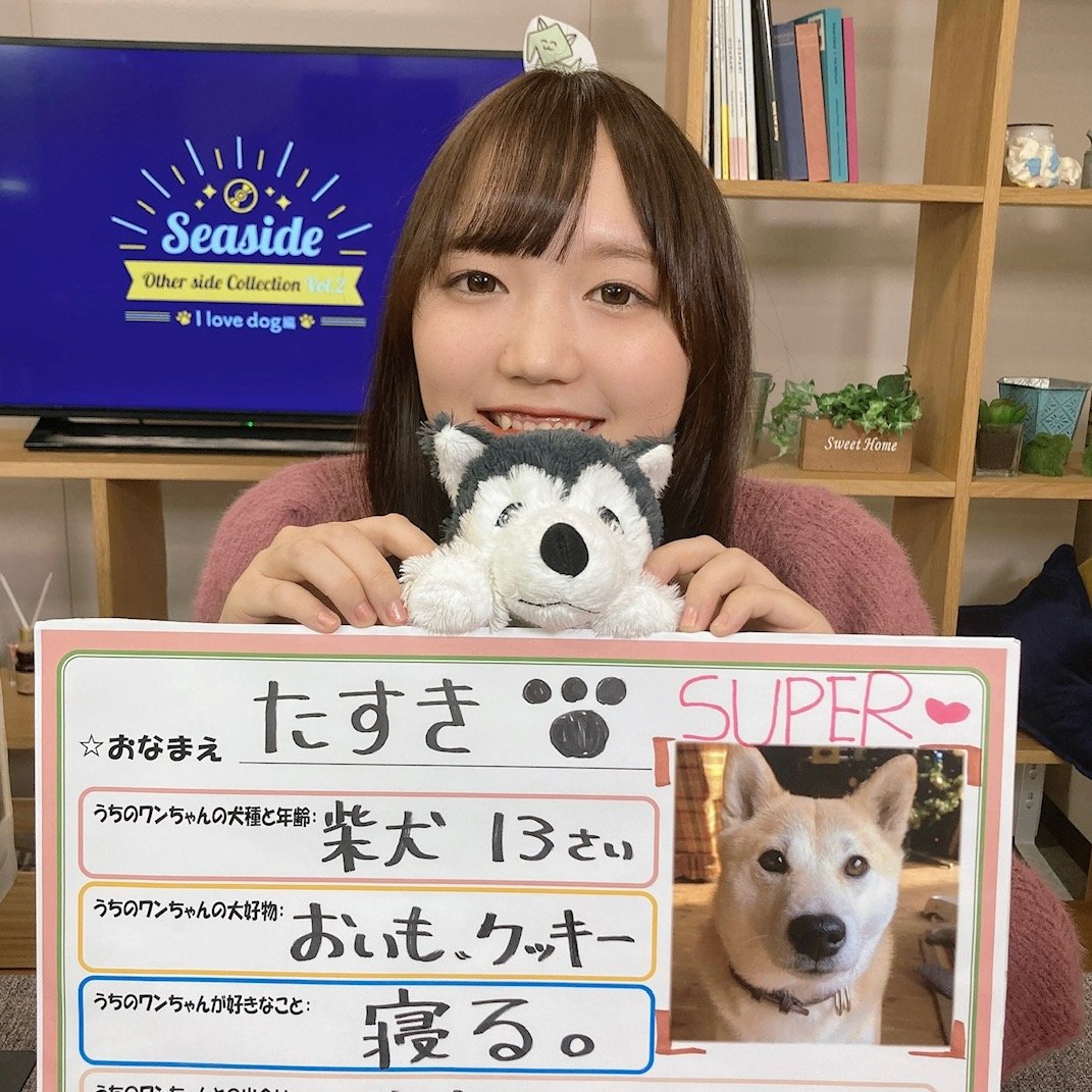 シーサイド・コミュニケーションズ on X: 
