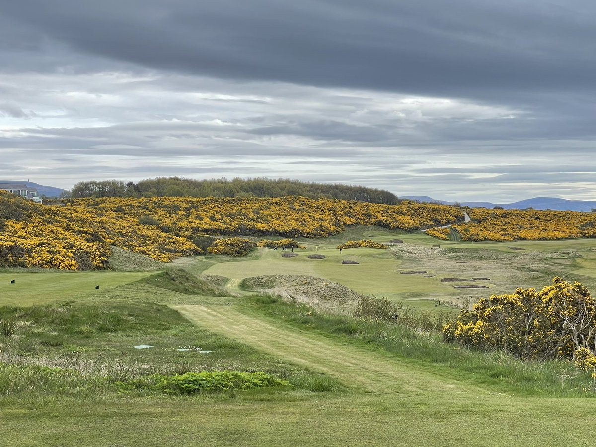 kbdoc1's tweet image. The single round open @RoyalDornochGC was spectacular yesterday. Beautiful course. Well organised - even the weather for my tee time😂.  New 8th hole was a great addition. Wish @TheOpen could be played here. I’d love to see how the worlds best manage the challenge.