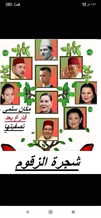 kaddiddo02's tweet photo. السجرة الملعوبة.. https://t.co/i6viylvWkE