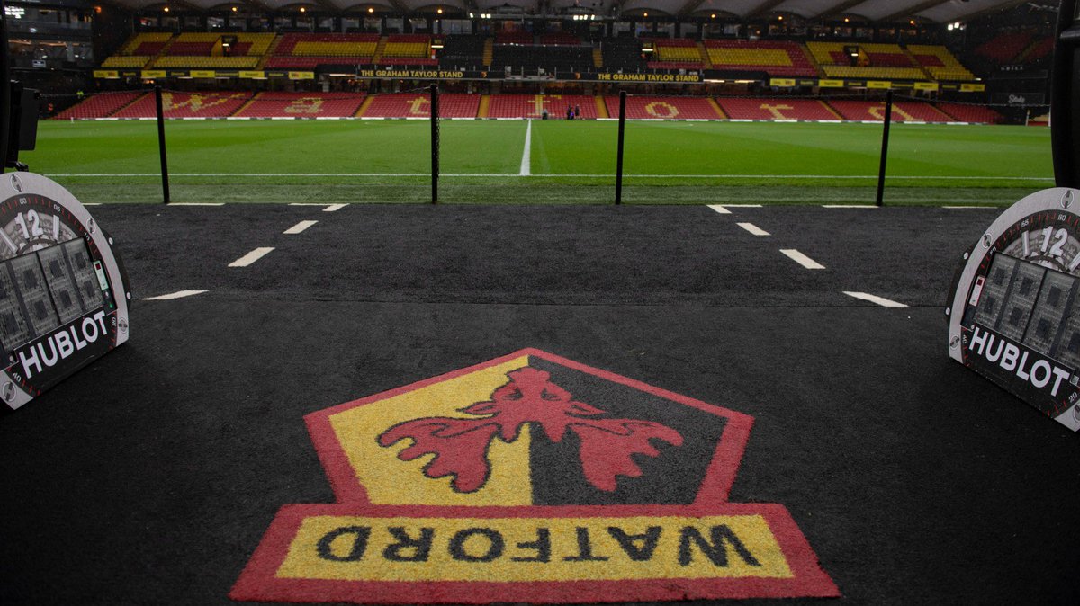 VoicesOfTheVic's tweet photo. If the club is still going to do a ‘Player Of The Season Award’, who would you vote for &amp; why? 

#Watfordfc 🟡⚫️ https://t.co/snpdgRjKRO