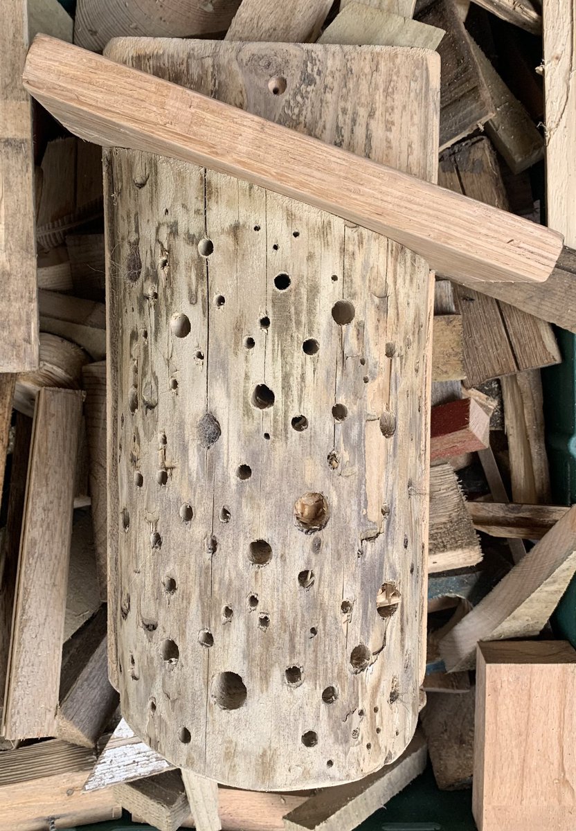 One man’s scrap pile is some beebugs home!! 🐝🐞🕷️🐛
 #bughotel #bughouse #beehouse #solitary #bee