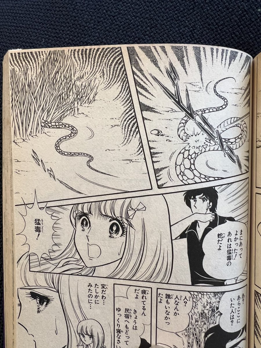 美内すずえ先生の傑作ホラー、黒百合の系図を久しぶりに読み返していたら明らかに魔夜峰央先生がお手伝いされたんだろうな、というコマをいくつか発見。しかし摩夜先生ほど個性の強いタッチが入っても不自然にならず受け止められる美内先生の絵力って凄いな。