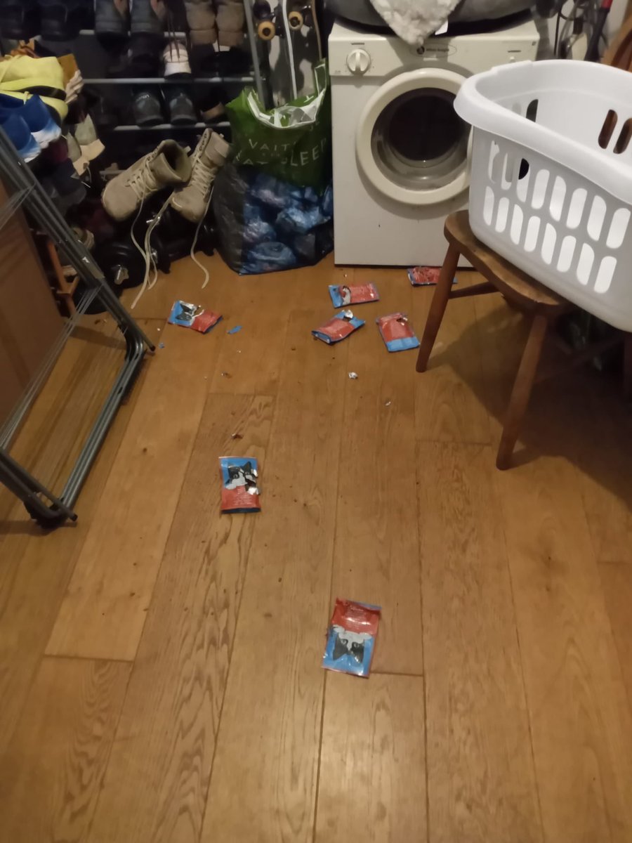 (THE SAGA CONTINUES?!)