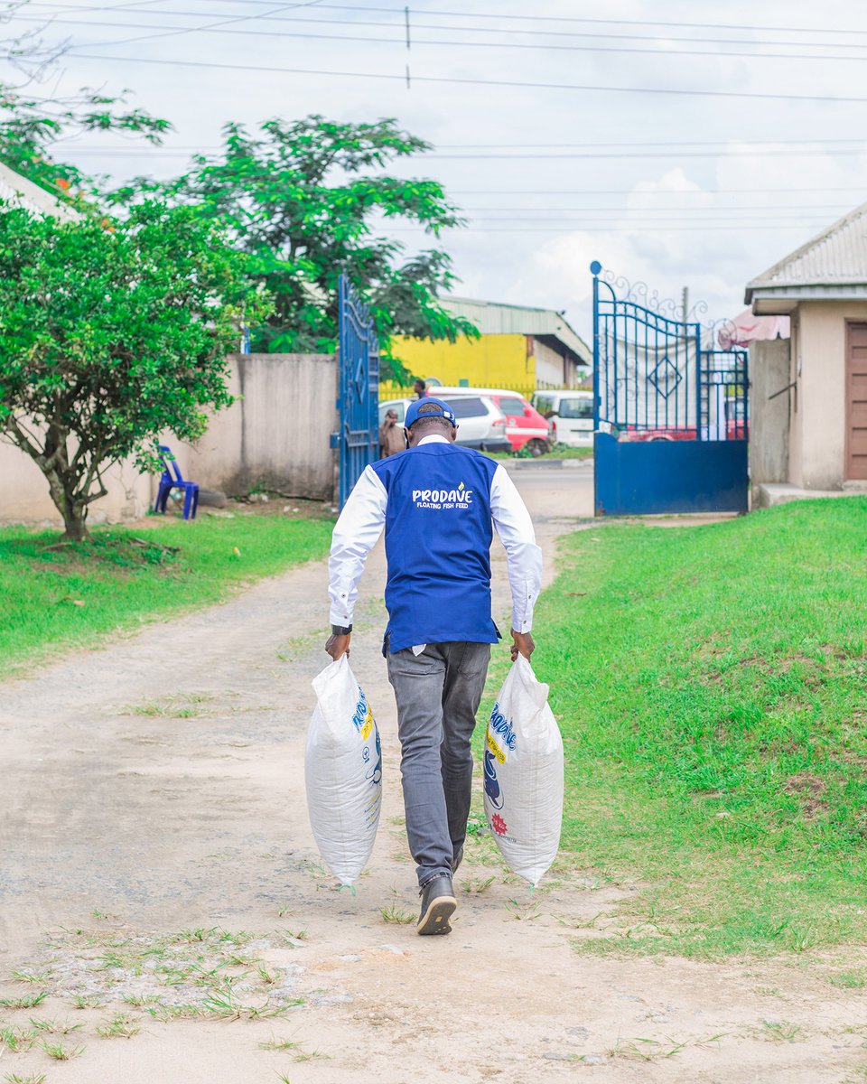 catfishpreneur's tweet image. Happy Worker's Day to all of farmers.

We appreciate your effort to keep the world running while generating income.

At PRODAVE INTEGRATED SERVICES, We do our best to provide decent jobs for people of all gender.

#MayDay2023 
#Prodave
#WorkersDay2023 
#Catfishpreneur