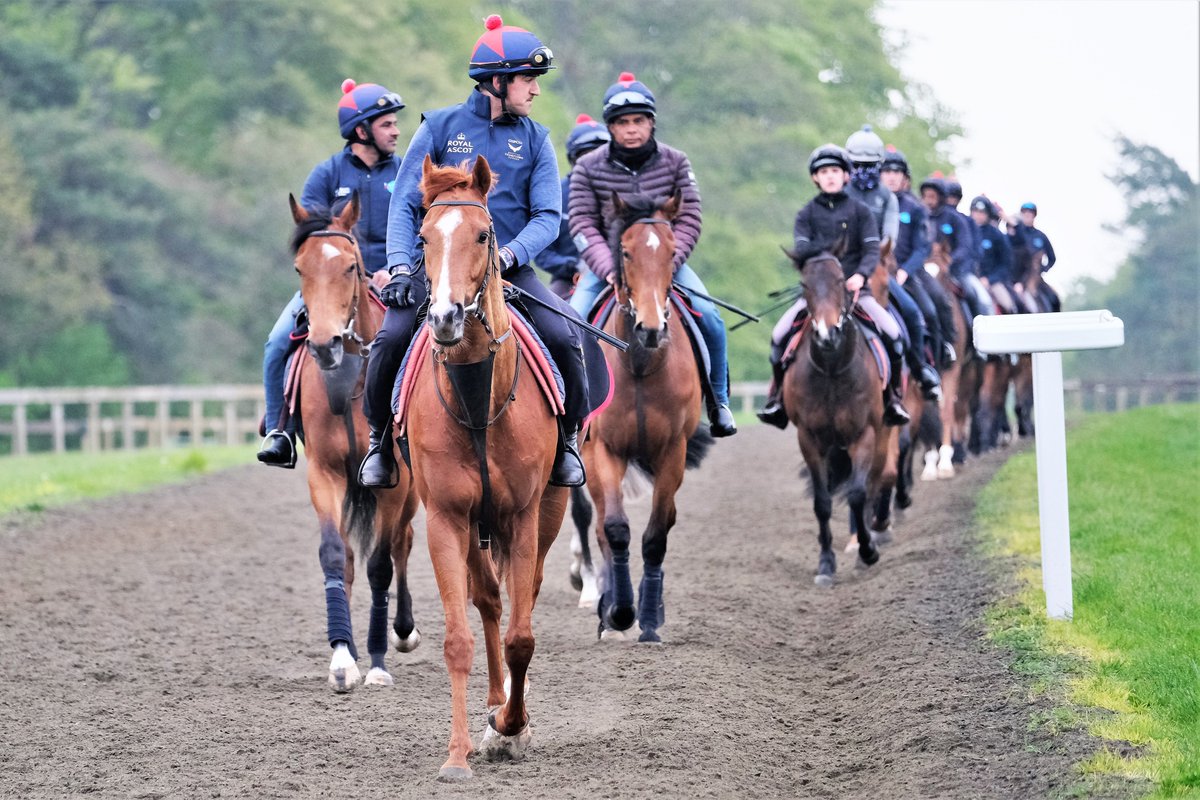 SimcockRacing's tweet photo. LIGHT INFANTRY leads them home for @SimcockRacing ............ #AlBasti #AlBastiEquiworldDubai https://t.co/ET0nRv07FZ