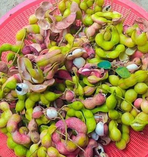 যদি চিনে থাকেন নিজের ভাষায় নাম বলে যান..😊