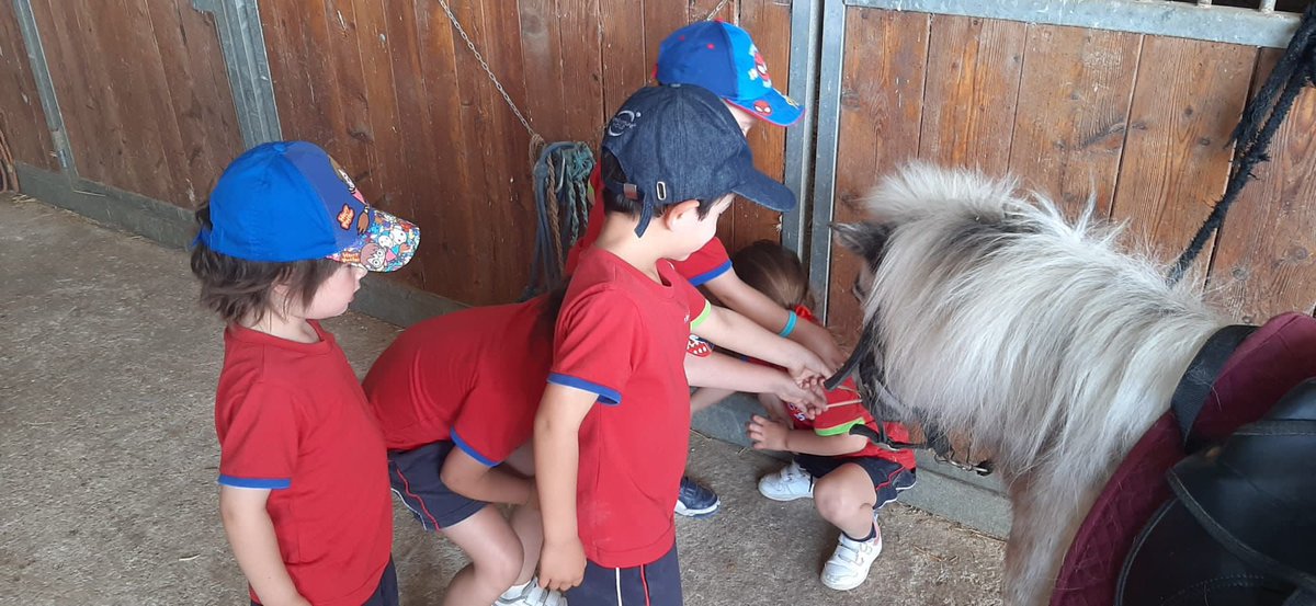 En 2º infantil hemos ambientado nuestra clase para conocer bien a nuestros amigos los caballos 🐎
Visitamos el Centro Ecuestre 'El Cachorro' donde nos acompañaron Mora y Margarita. #aprendizajesignificativo #PuntoDeEncuentro @centrosFEST