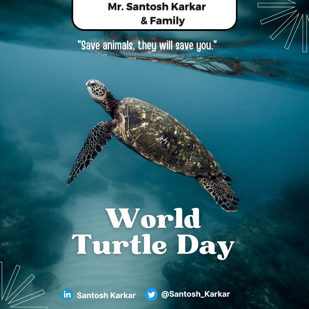 From sea turtles to tortoises, these gentle giants are a vital part of our ecosystem. Let's appreciate their beauty and diversity, and take action to protect them from threats like poaching and habitat loss.
#WorldTurtleDay #EcosystemProtection #AntiPoaching