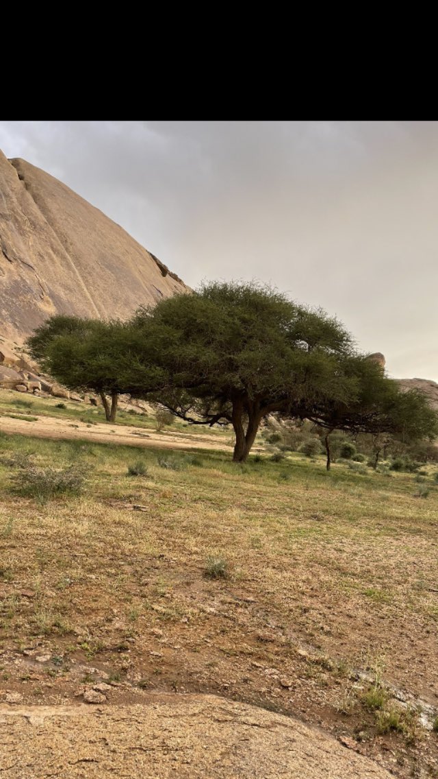 #غنام_مسعود_المغافله_القريني
