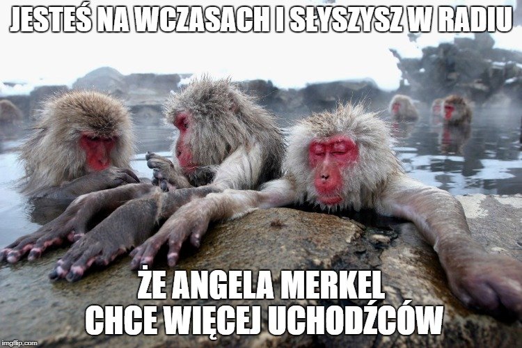 bokserlive01's tweet photo. @Daniel040480 Już raz nam nie pozwolili zabrać tej "wolności" https://t.co/wDKelZBQJp