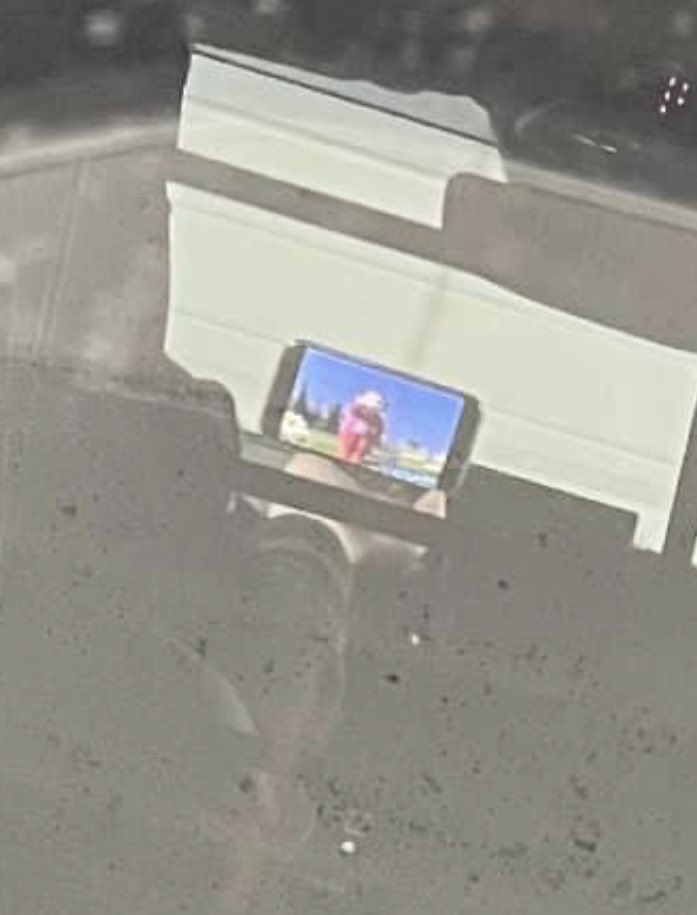 Þóra Sif Guðmunds 🌻🇺🇦 tweet media