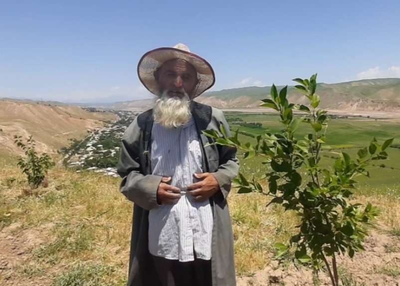 Gulom Safarov, a 76year old man from Temurmalik district has planted more than 60 trees at an altitude of 1000 meters for the development of the nature of his homeland. When this old man's story found its way to the Internet, others bought a donkey for him to help him carry water